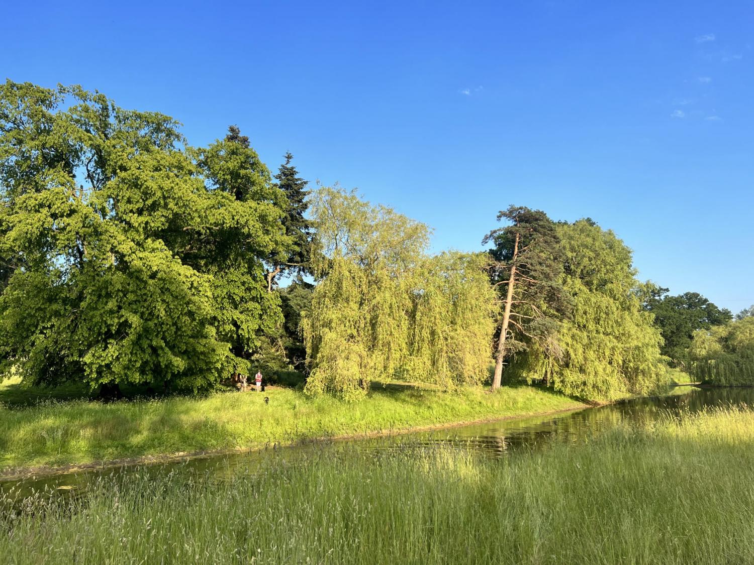 Wedding page St Ibbs - Maydencroft Manor -  For nature, celebration, and quiet brilliance.