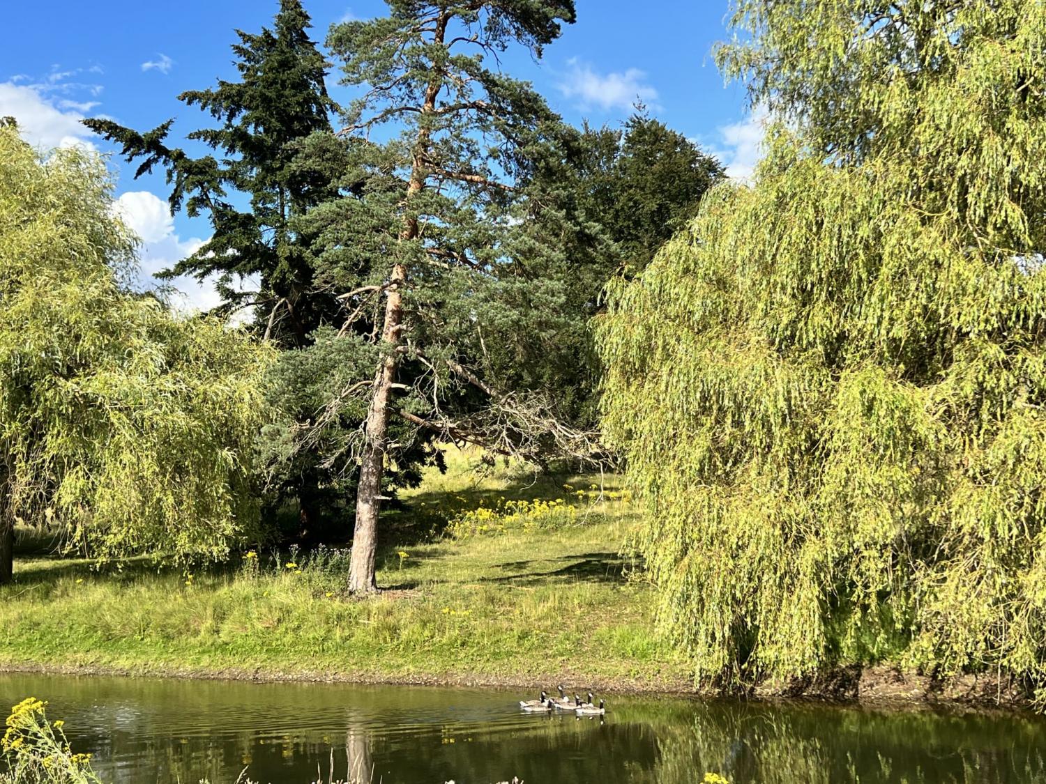 Wedding page St Ibbs - Maydencroft Manor -  For nature, celebration, and quiet brilliance.
