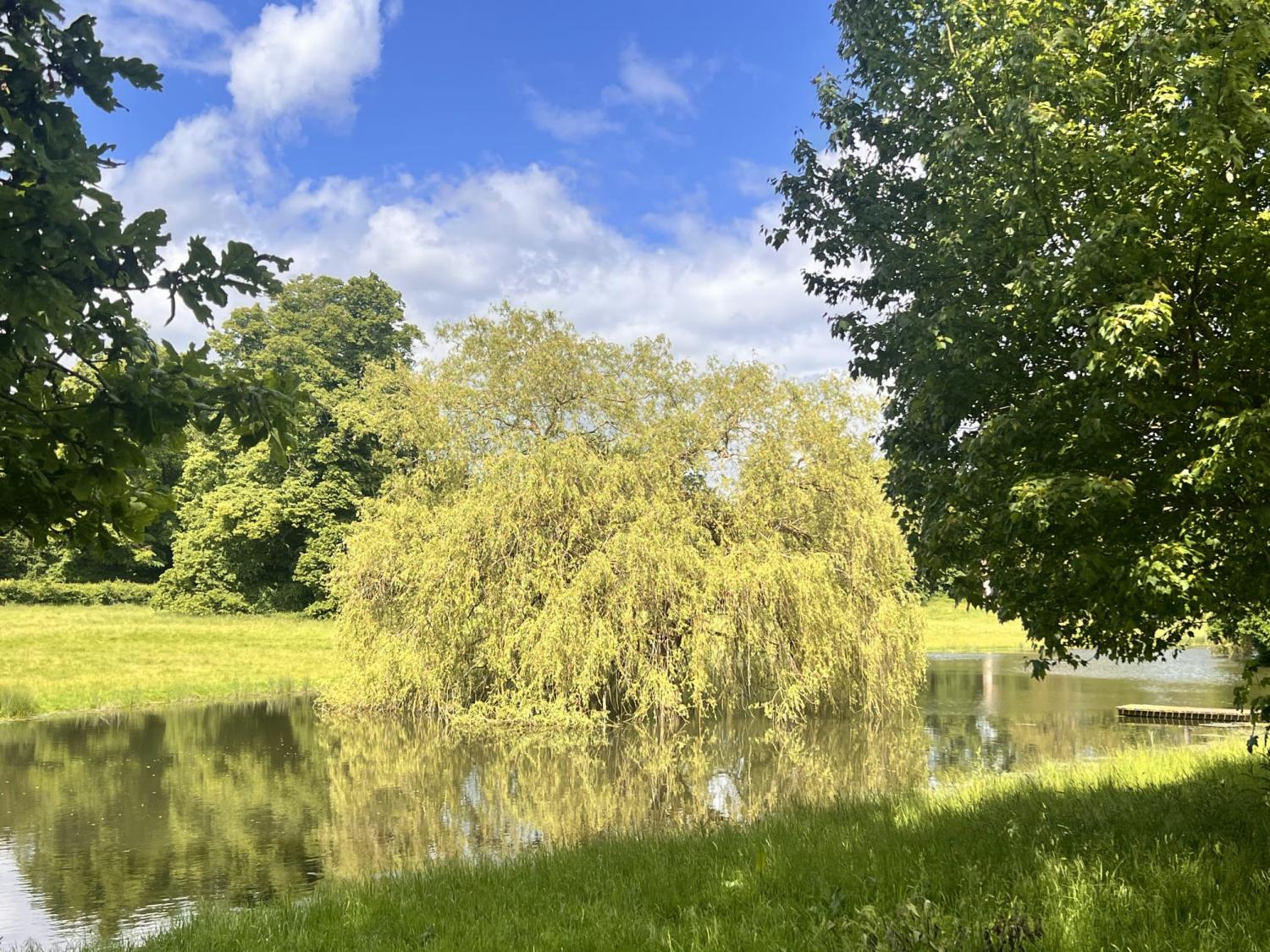 Wedding page St Ibbs - Maydencroft Manor -  For nature, celebration, and quiet brilliance.