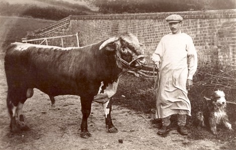 A historic and rare breed